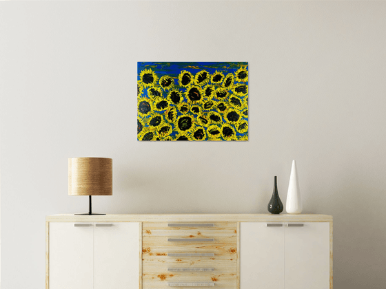 Blooming sunflowers 6