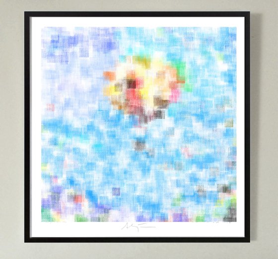 Hot air balloon ride