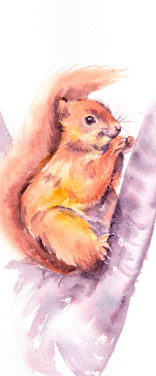 Red Squirrel painting, Squirrel watercolour painting, Wildlife Wall art by Anjana Cawdell