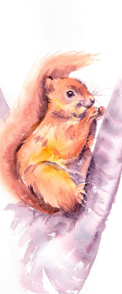 Red squirrel by Anjana Cawdell