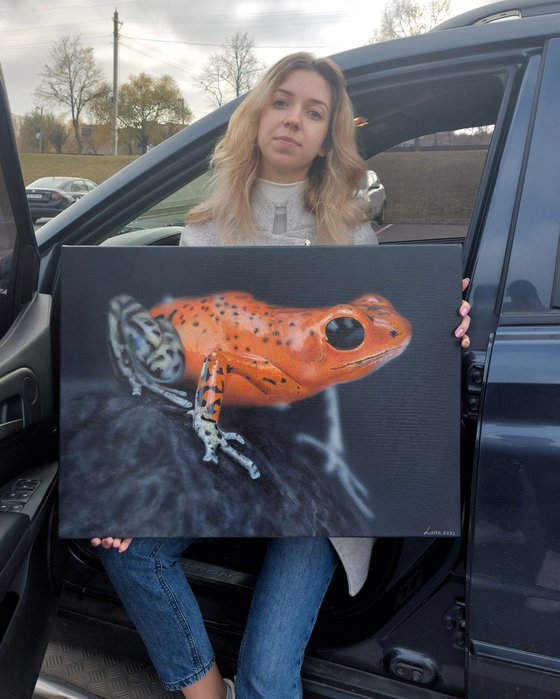 bright orange frog art, poisonous frog realism, hyperrealism painting, realistic painting on canvas, animal painting