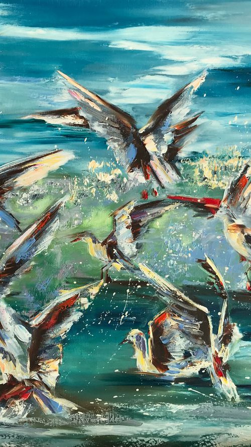 Gulls by Diana Malivani