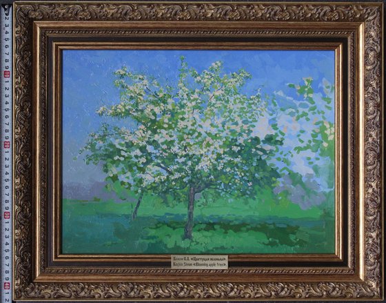 Blooming apple tree