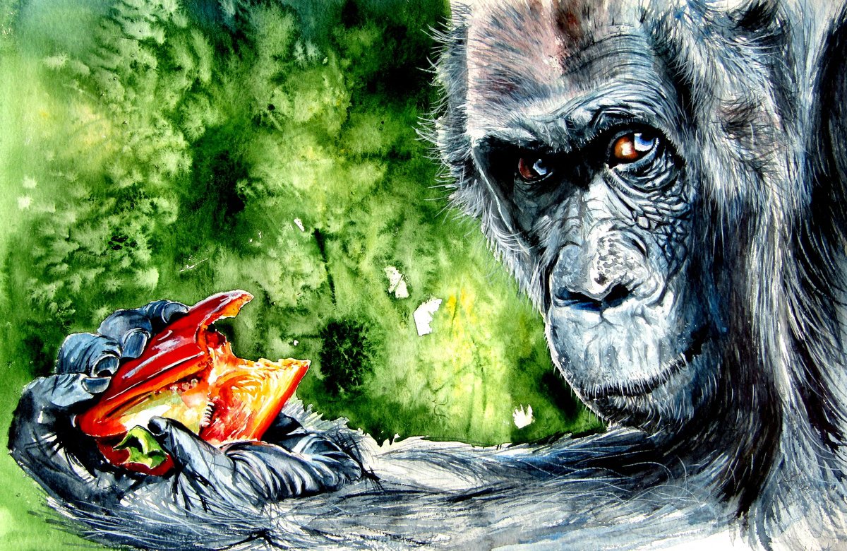 Impressionistic Watercolour , Chimpanzee Eating By Kovacs Anna Brigitta, 20 X 13, Artwork For Sale On Artfinder