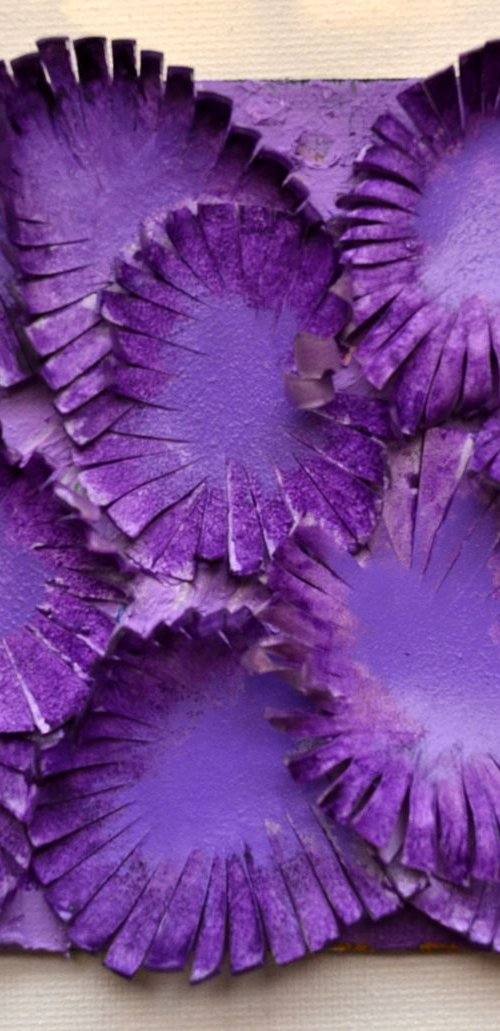 Feathered corals by Swapna Namboodiri
