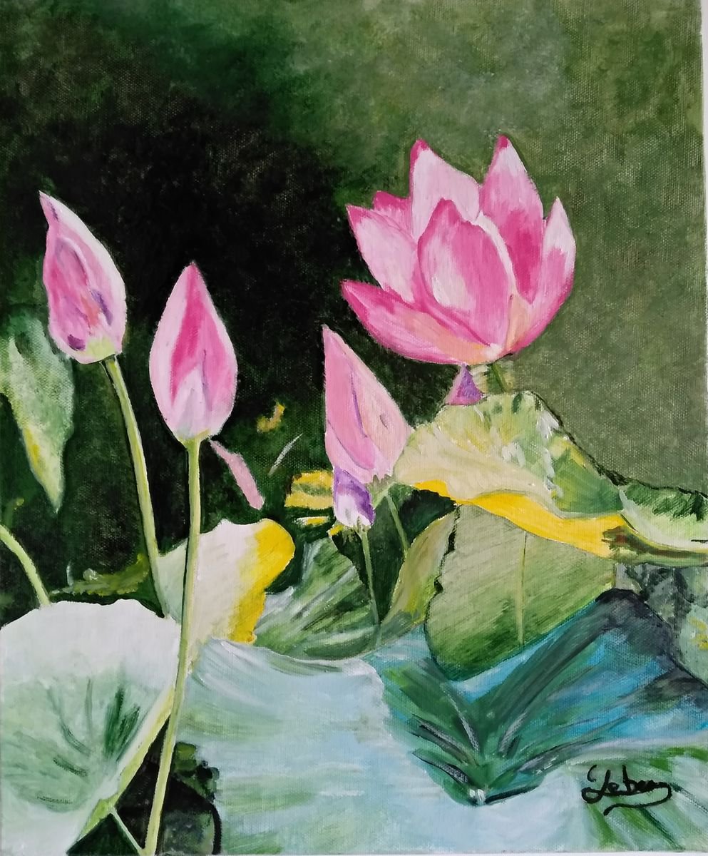 Flowers pink lotus by Isabelle Lucas