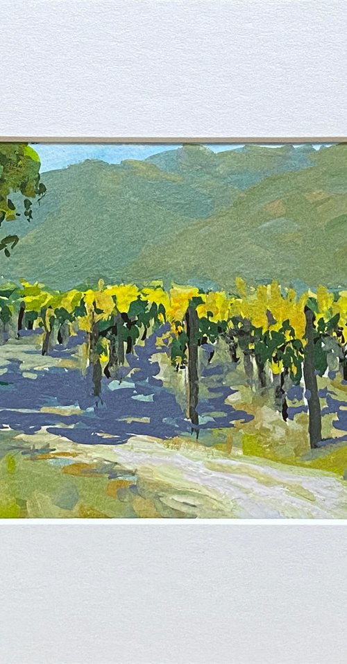 Carmel Valley Vines Landscape by Tatyana Fogarty