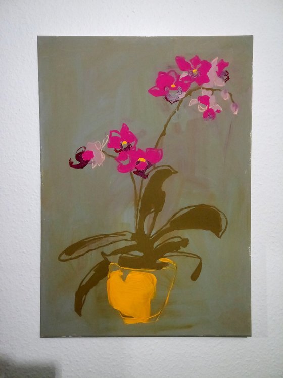 #33/24 Orchids