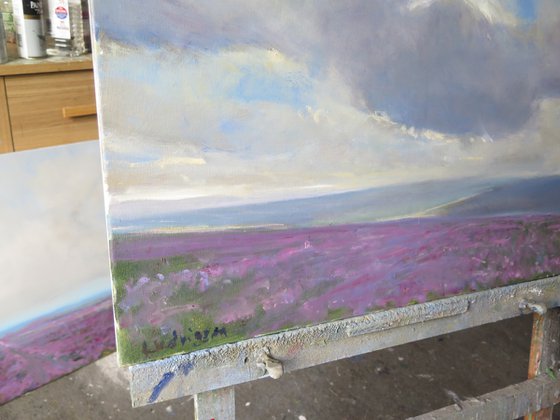 Goathland Heather