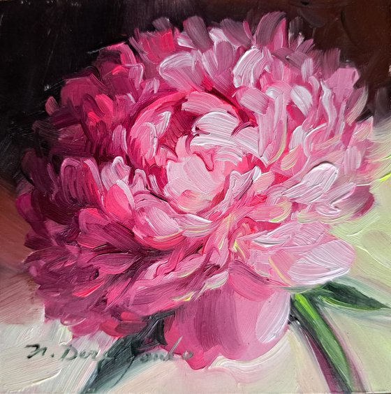 Peony flower