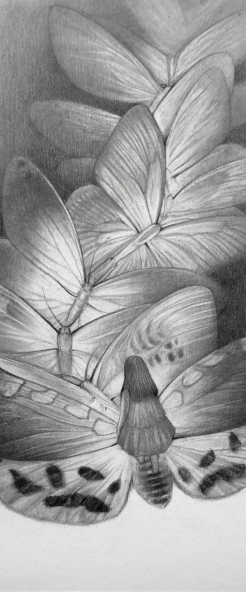 Paved path by Anastasia Parfilo