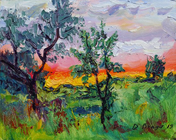 Summer sundown (framed)