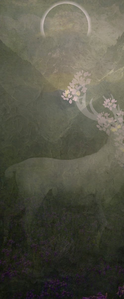 Dear Deer by J. Gierat