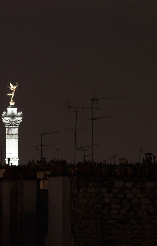 Chimneys, Aerials and the Bastille, Paris, France by Paula Smith