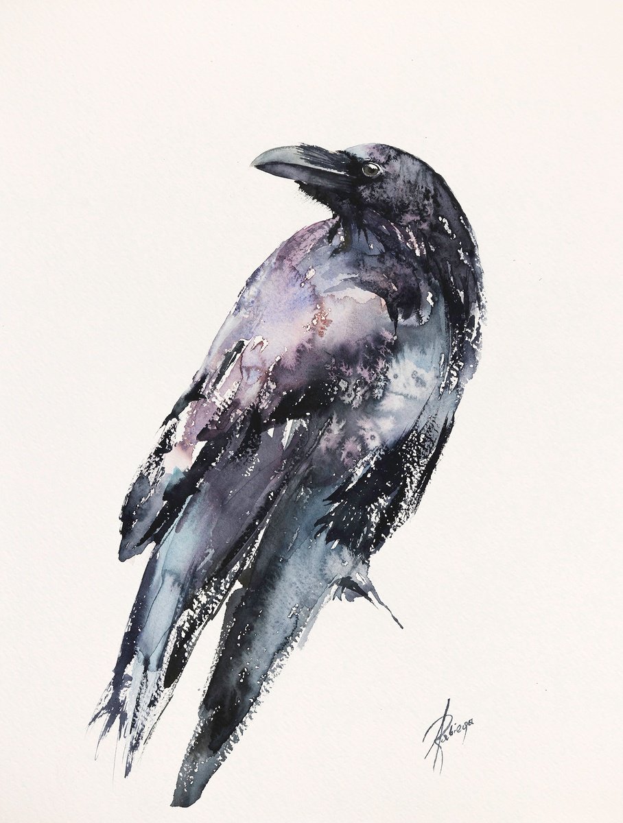 Raven by Andrzej Rabiega