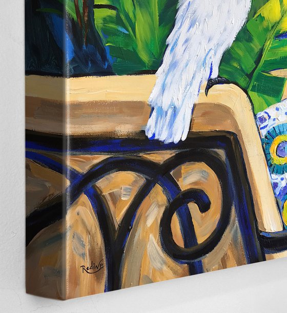 Cockatoos Secret Garden