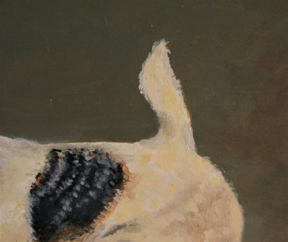 Fox Terrier  #1