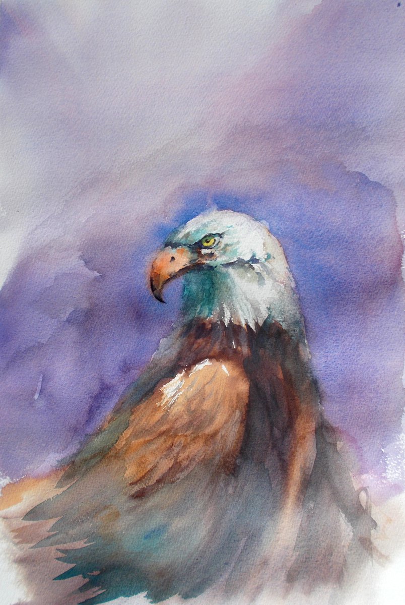 Impressionistic Animal Watercolour By Giorgio Gosti, 14 X 21, Bald Eagle, Original Artwork