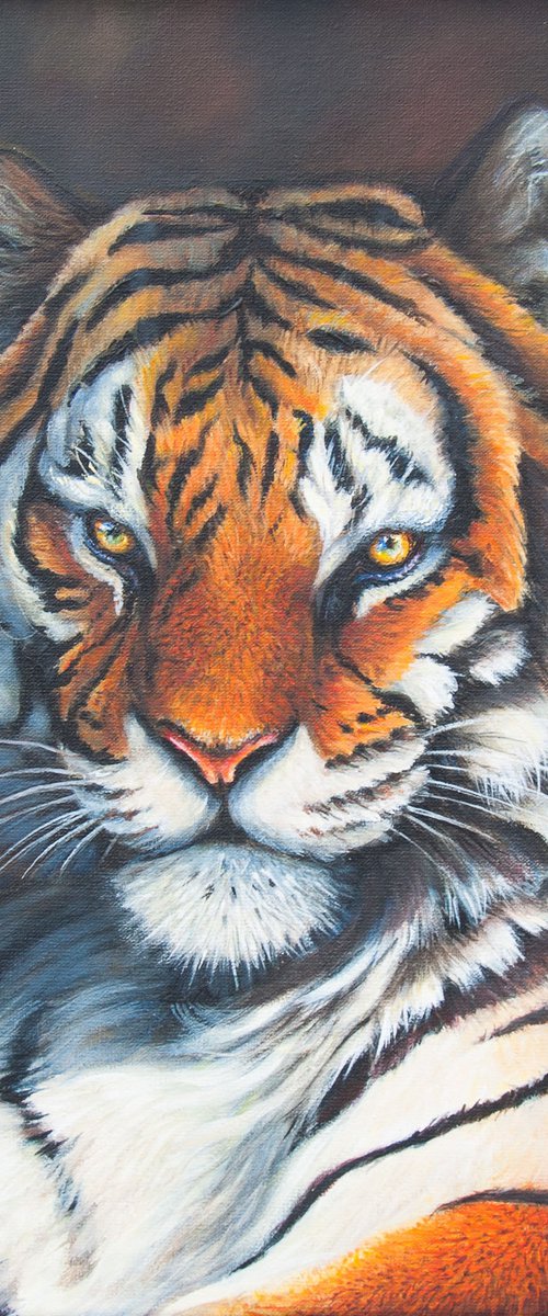 Tiger portrait by Norma Beatriz Zaro