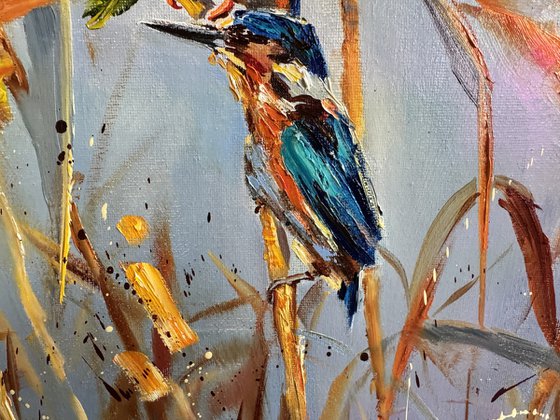 Kingfishers