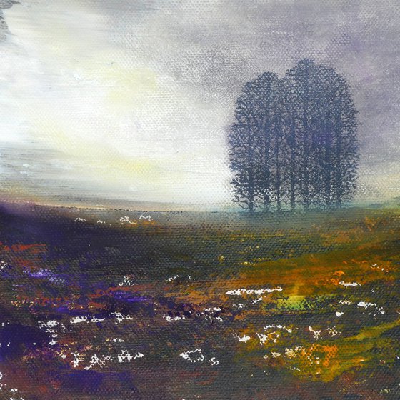 Misty Moorland Trees