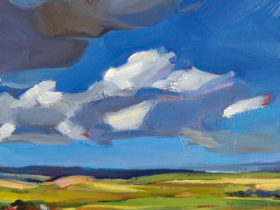 Beneath the Rolling Sky