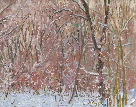 January snow on the Chertanovka River