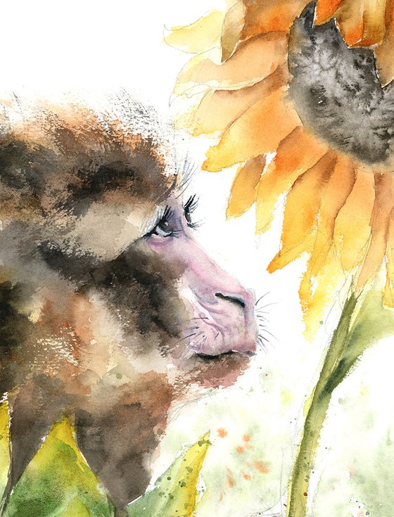 Monkey and Sunflower