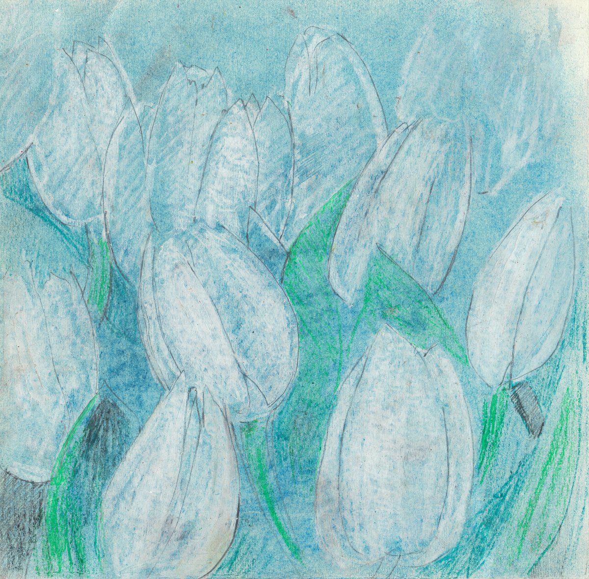 White tulips by Mia