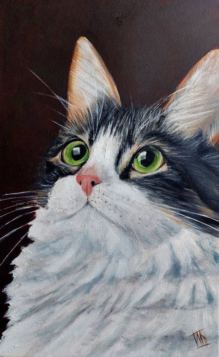 Cat by Ira Whittaker