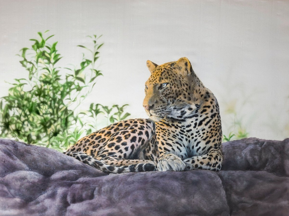 Photorealistic Animal Acrylic Painting By Olga Belova, 34 X 26", Golden Stillness, Original Artwork