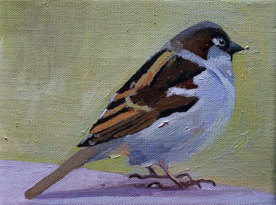 Spring Sparrows #2