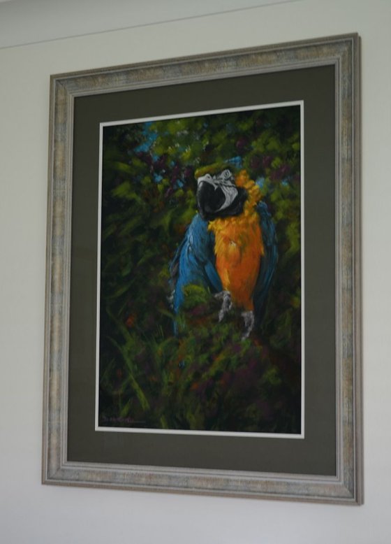 Blue & Gold (Framed, ready to hang)