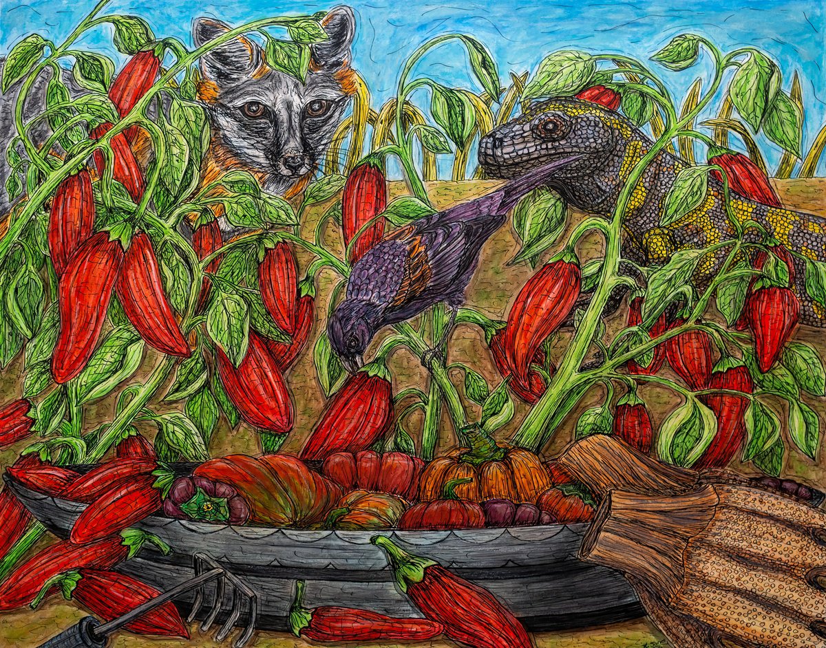 Animal Watercolour By Kim Jones Miller, 20 X 16", Somebodys