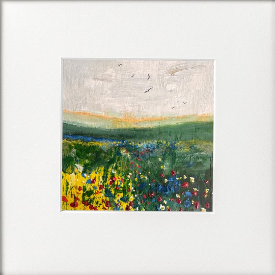 Cornflowers & Fields