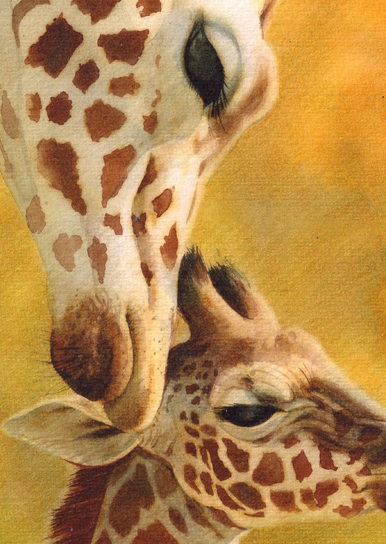 Giraffes - mother and baby giraffe VII