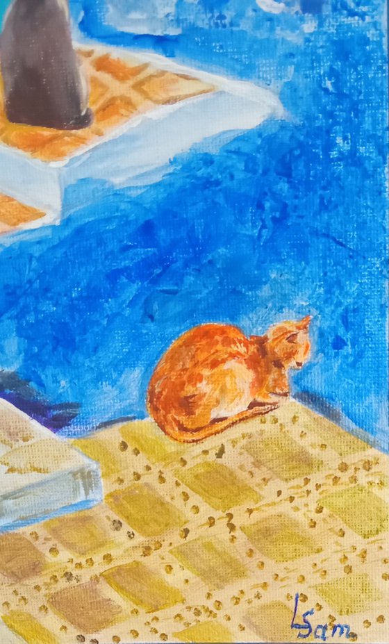 Cat games in the Blue City