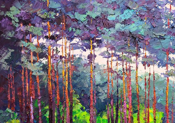 Forest road