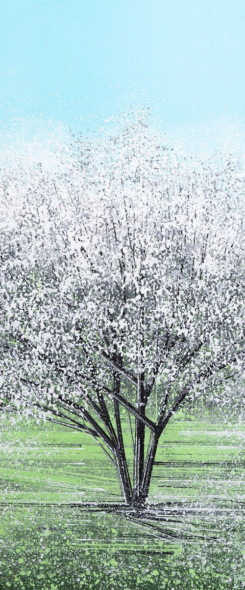 White Tree Blossom In Bright Light by Marc Todd