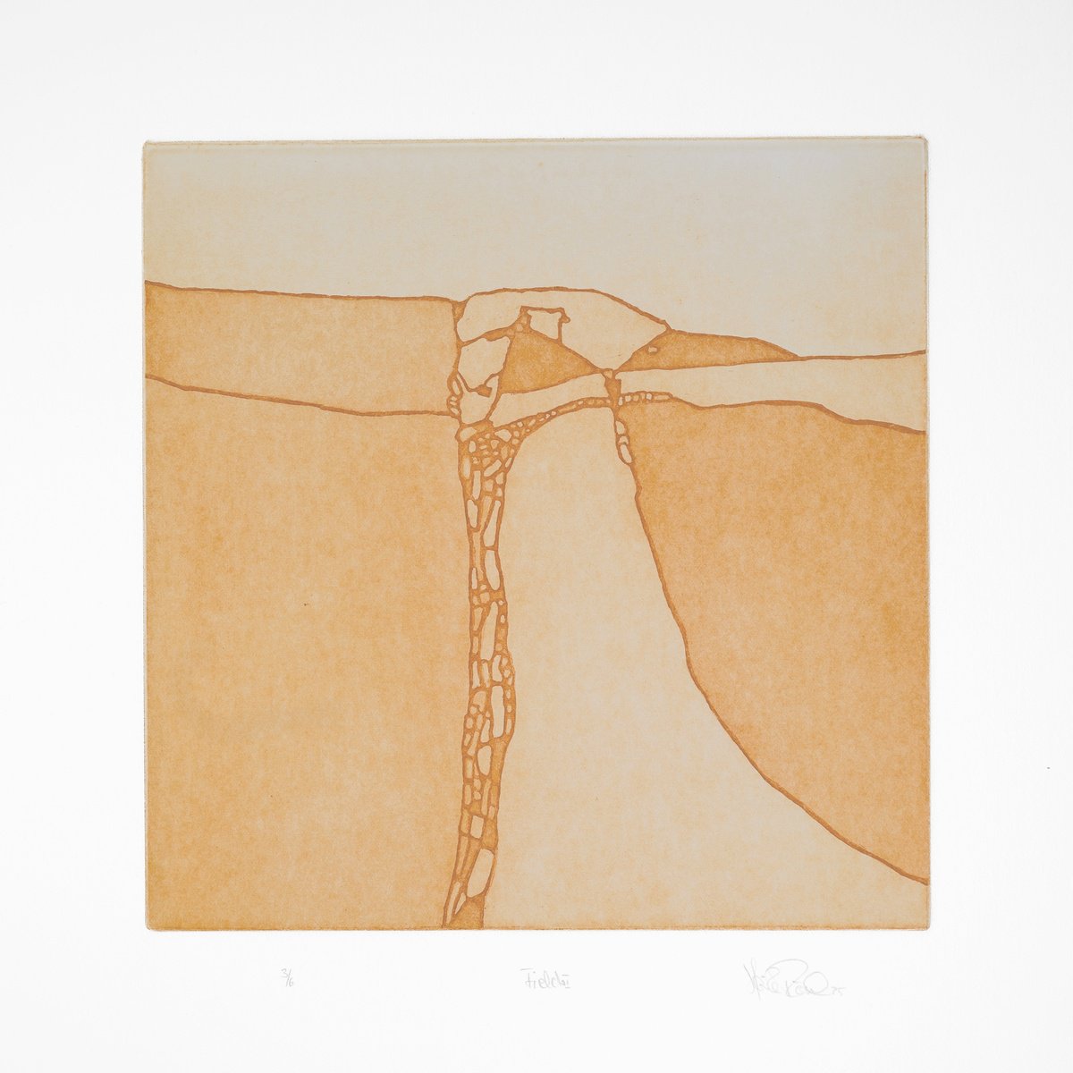 Impressionistic Etchings & Engravings , Fields 1 By Heike Roesel, 13 X 13, Artwork For Sale On Artfinder