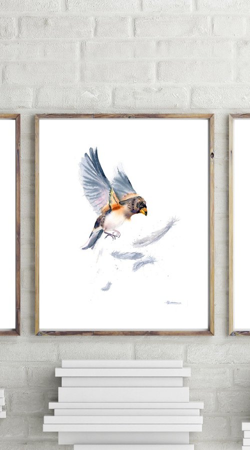 Birds And Feathers - triptych by Olga Tchefranov (Shefranov)