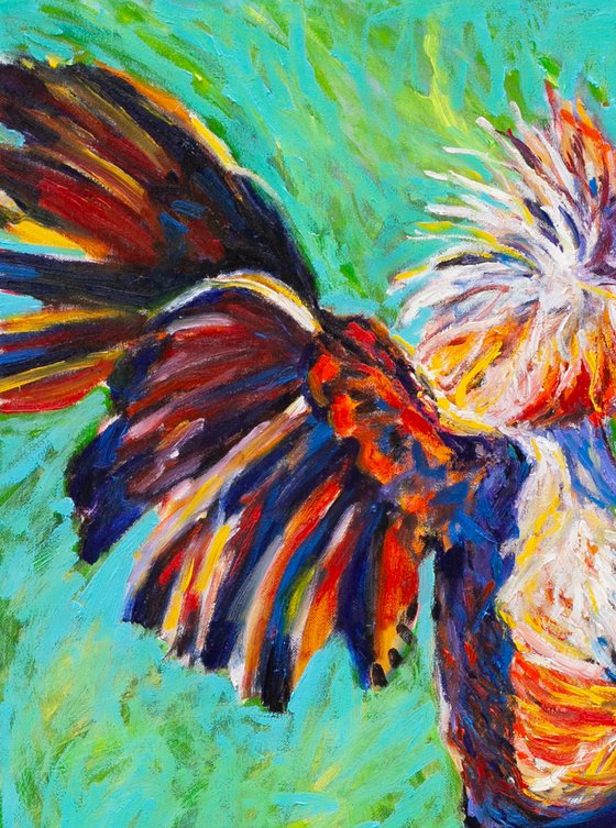 Fighting Roosters