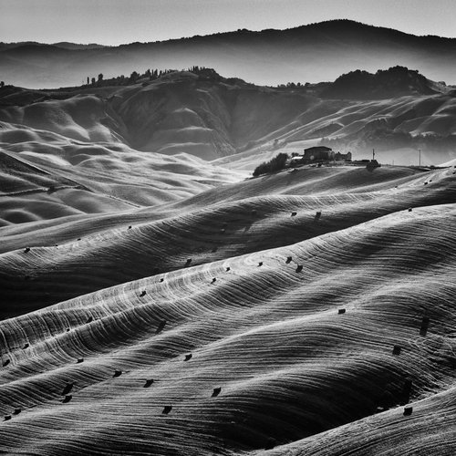 Summer in Tuscany by Tomasz Grzyb