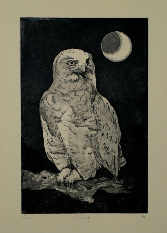 Snowy Owl Etching