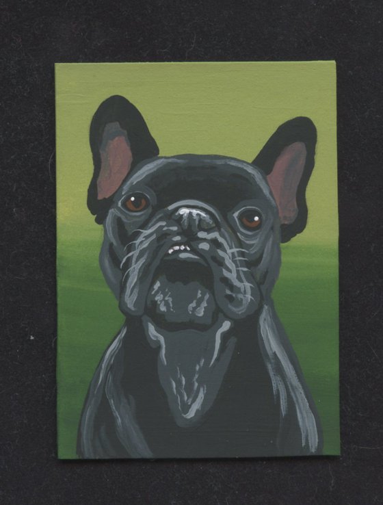 ACEO ATC Original Miniature Painting  French Bulldog Pet Dog Art-Carla Smale