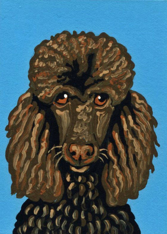 ACEO ATC Original Miniature Painting Brown Poodle Pet Dog Art-Carla Smale