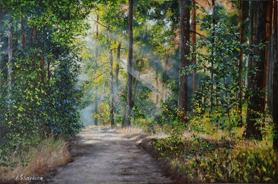 Sunlit Forest Path