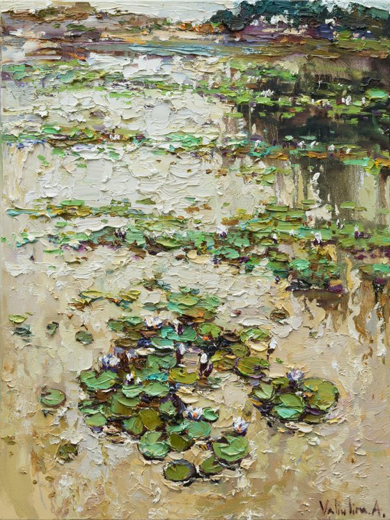 Water lily pond at sunset- Original Oil painting