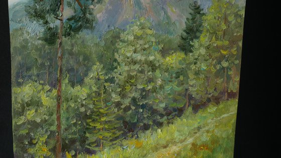 Rain In The Mountains