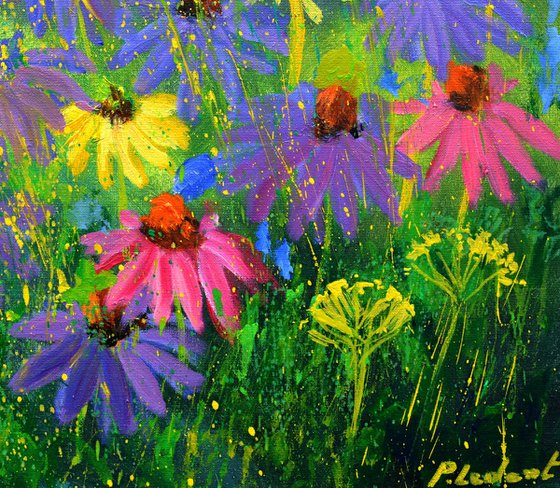 Rudbeckias